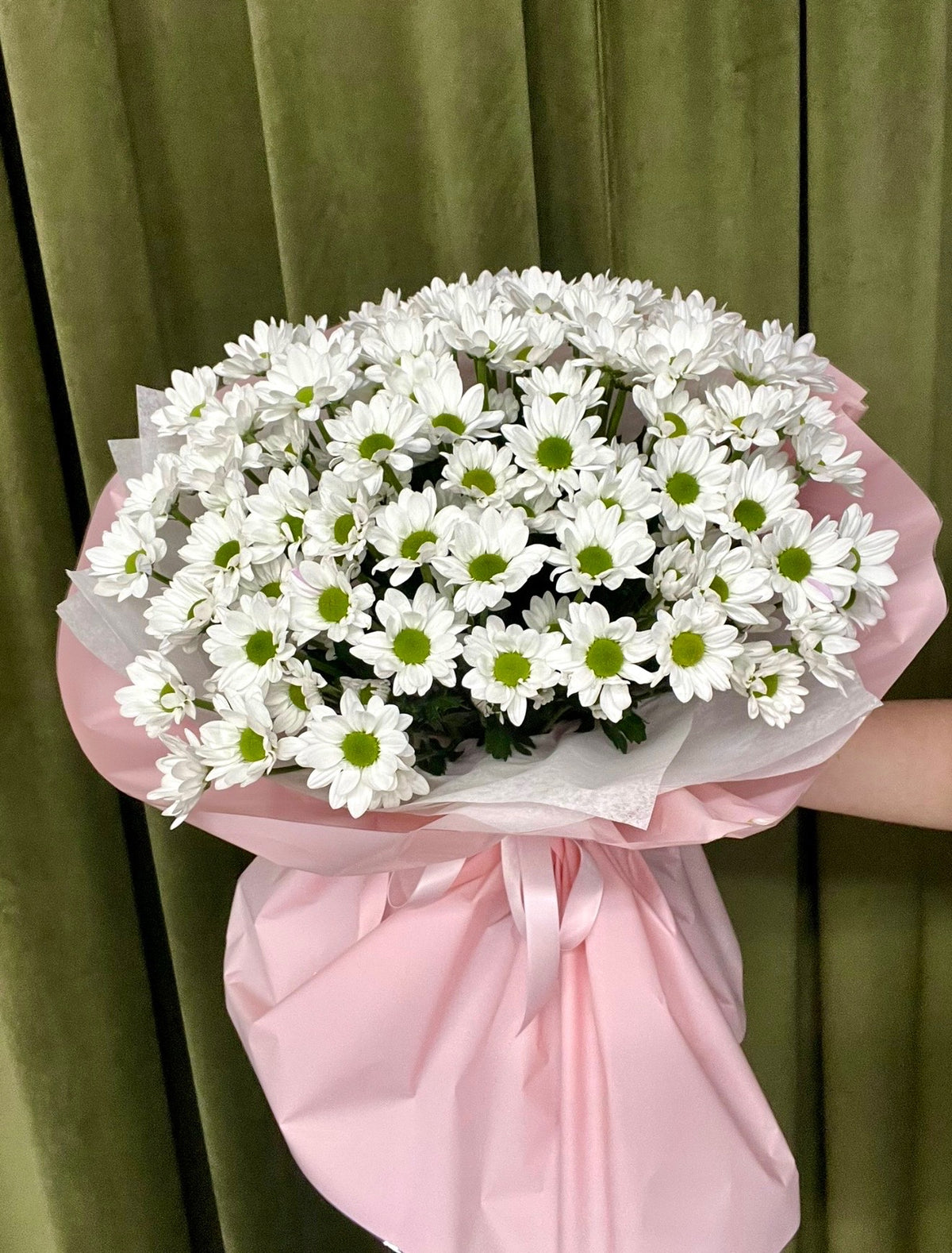 Daisy Dream